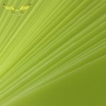 طلق صحافي پ پ پرگه سبز روشن 350 ميكرون A4 - Image 5